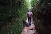 Camping Ceria di Puncak Gunung Jayagiri