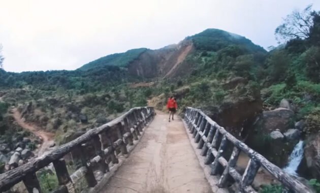 Taman Wisata Alam Gunung Papandayan sebagai Destinasi Pecinta Alam