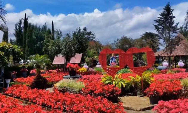 Kebun Begonia Lembang, Wisata Selfie Bandung