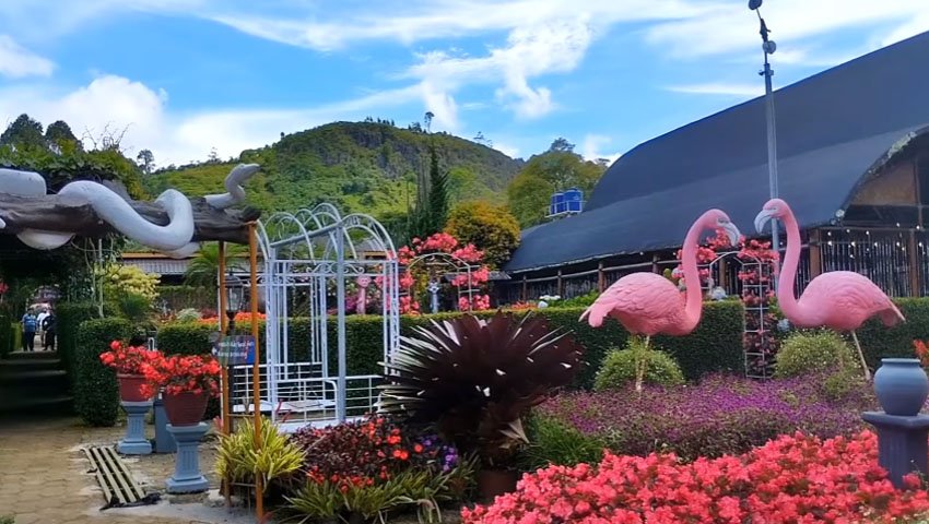 Kebun Begonia Lembang, Spot Instagramable yang Punya Program Edukasi Ramah Anak