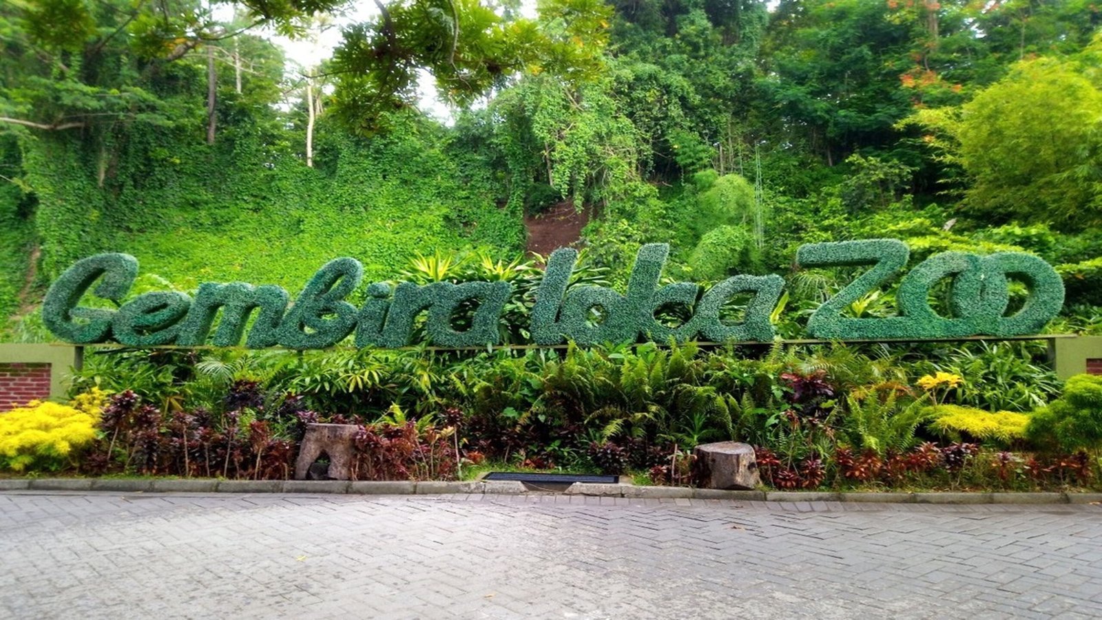 Belajar Sambil Bermain di Kebun Binatang Gembira Loka