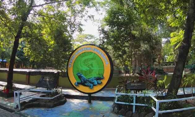 Kebun Binatang Surabaya, Kebun Binatang yang Populer