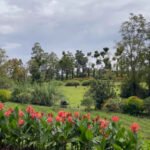 Destinasi Wisata Kebun Mawar Situhapa, Taman Bunga Terbesar di Garut