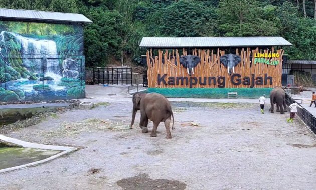 Lembang Park & Zoo, Kebun Binatang Modern di Bandung