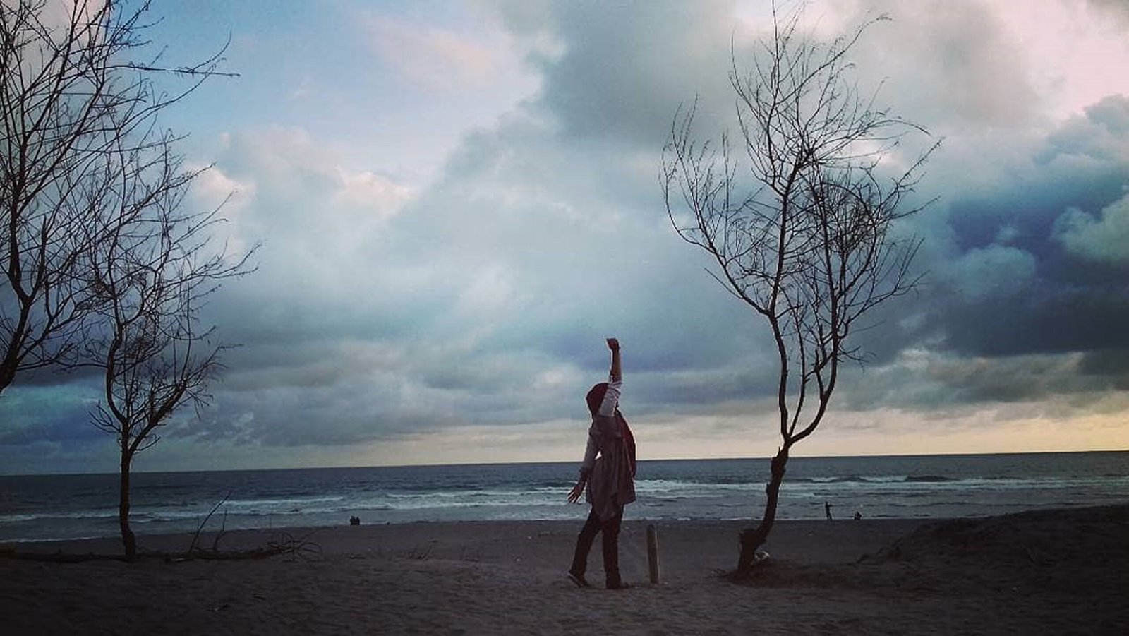 Pantai Cemara Sewu, Destinasi Wisata Bahari Eksotis