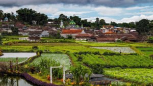 Desa Wisata Pujon Kidul, Pilihan Destinasi Favorit Keluarga di Pujon Malang