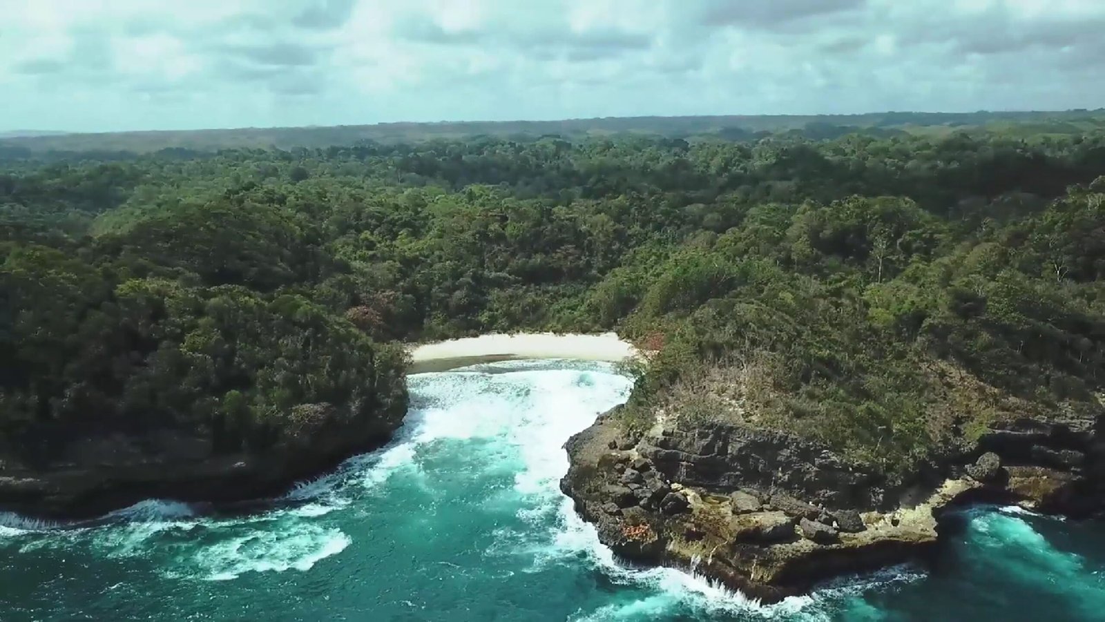 Teluk Bidadari Dan Pantai Mbehi, Pesona di Balik Hutan Lindung Di Malang