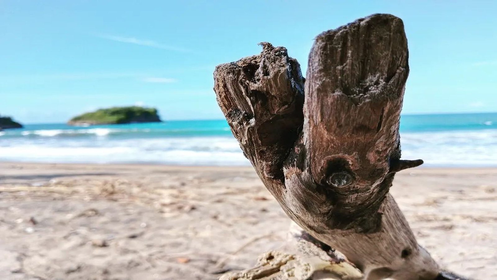 Pantai Ungapan, Pesona Pantai Indah Nan Eksotis