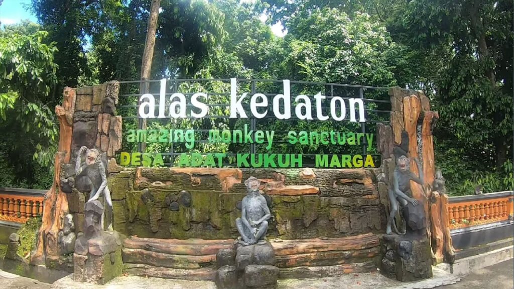 Alas Kedaton Bali Monkey Forest
