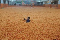 Centrum Million Balls, Kolam Mandi Bola Terbesar di Bandung