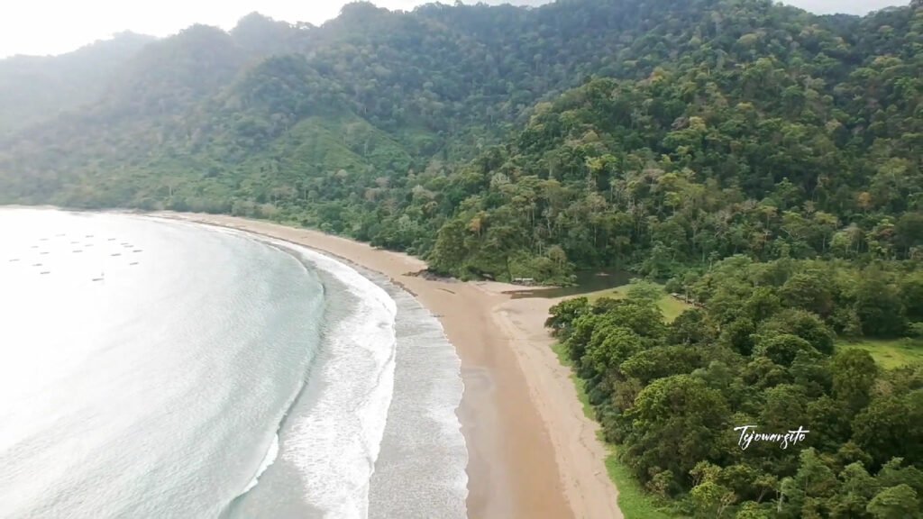 Pantai Bandealit yang Masih Asri di Jember Jawa Timur