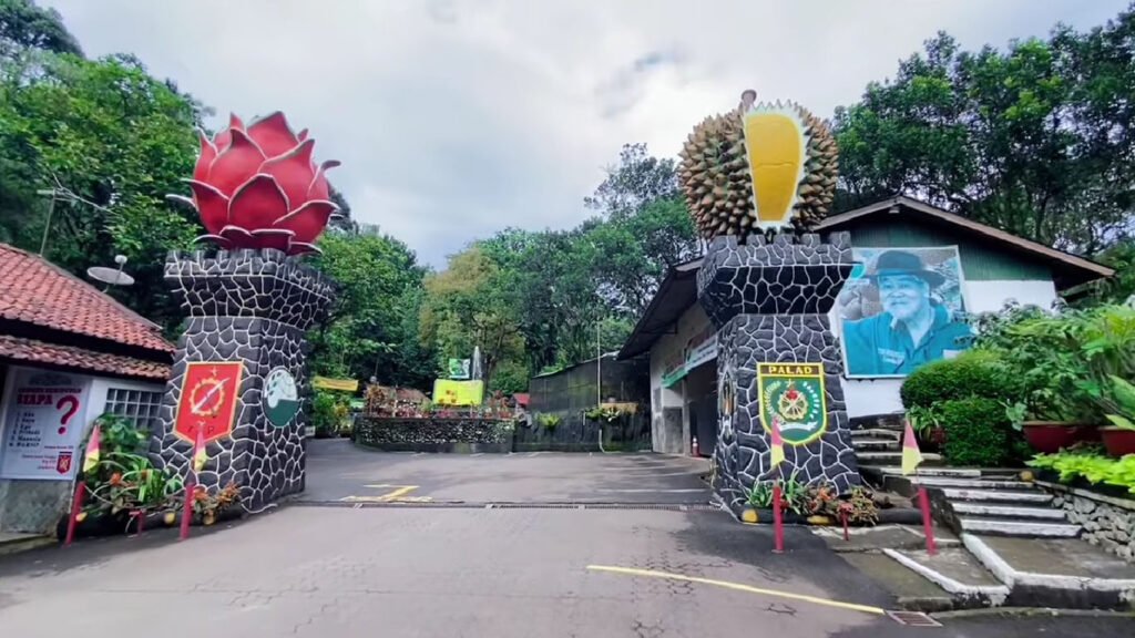 Agrowisata Kebun Durian Warso Farm