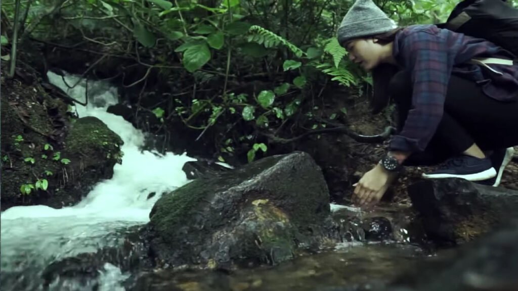 Berwisata ke Taman Nasional Gunung Gede Pangrango Jawa Barat