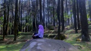 Taman Wisata Gunung Pancar Sentul Bogor