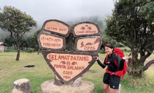 Gunung Papandayan pondok selada