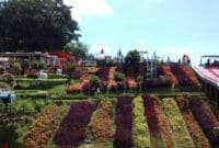 Pesona Keindahan Wisata Bukit Tangkeban Nyalembeng