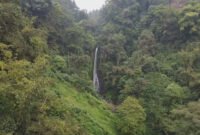 Puthuk Panggang Welut, Menikmati Panorama Alam Hutan Pinus di Mojokerto
