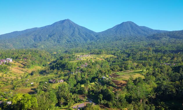 Jatiluwih Rice Terrace Pesona Sawah Indah Background Pegunungan
