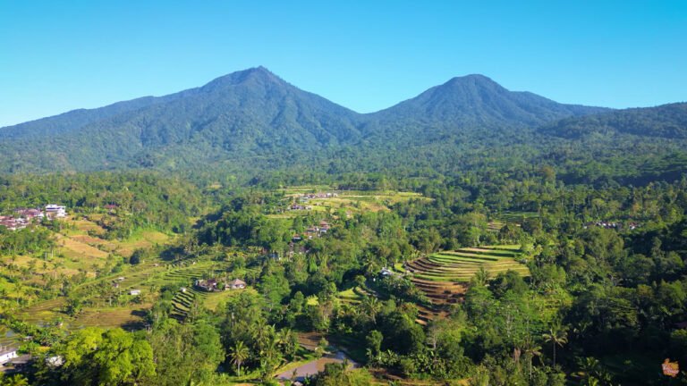 Jatiluwih Rice Terrace Pesona Sawah Indah Background Pegunungan