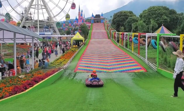 Taman Bunga Celosia Semarang, Suguhkan Hamparan Bunga celosia & Spot Foto yang Menarik dan Indah
