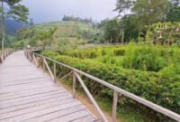 Tawangmangu Wonder Park Karanganyar, Camping dan Glamping Murah dengan Beragam Fasilitas