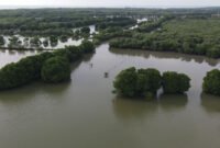 Daya Tarik Obyek wisata Pantai Muara Gembong