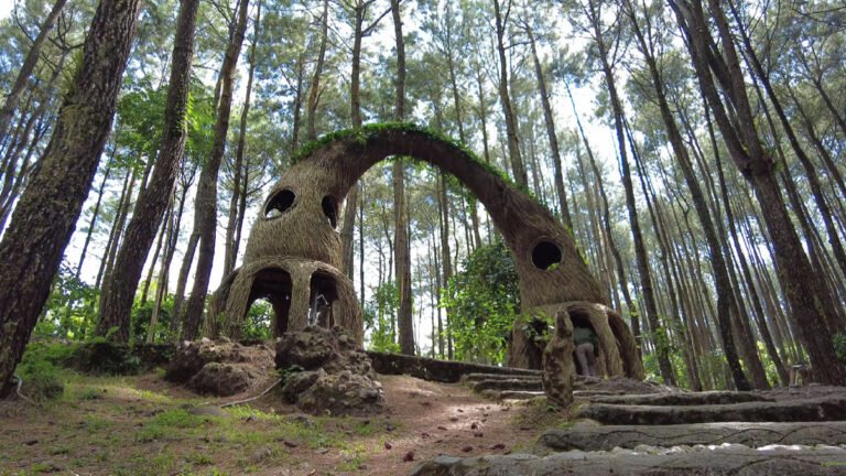 Hutan Pinus Pengger Sendangsari Rekreasi Alami: Sunset dan Gardu Pandang Unik