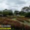 Bunga-Bunga Cantik dan Petualangan Seru di Jogja: Eksplore Mini Zoo Jogja Exotarium dan Taman Bunga Parijoto Puspawarni