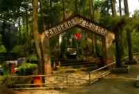 Surga Tersembunyi: Panorama Pabangbon Bogor