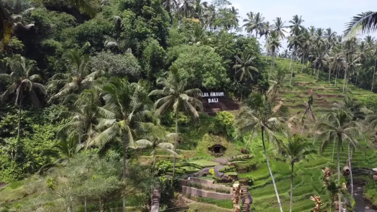 Wahana Ekstrem dan Spot Foto Unik: Alas Harum Destinasi Impian di Bali