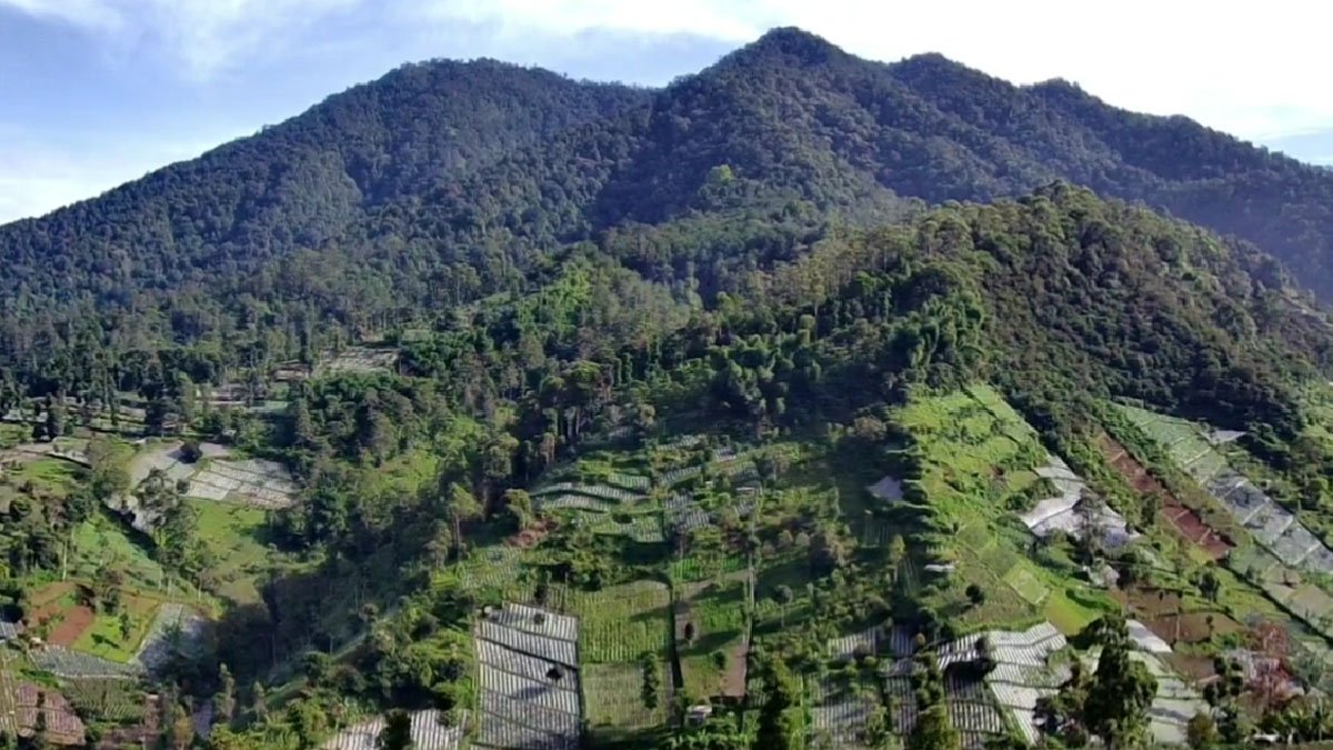 Gunung Burangrang: Pendakian menantang, legenda mistis, dan keindahan alam memikat. Eksplorasi tak terlupakan!