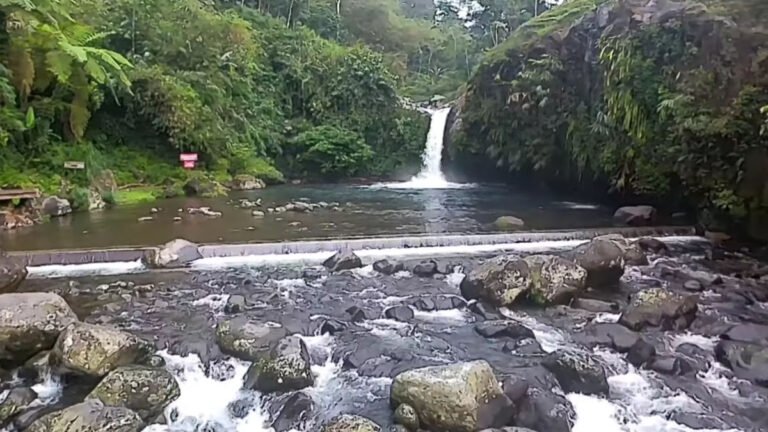 Curug Bayan: Pesona Air Terjun Eksotis di Banyumas. Keindahan alam yang menakjubkan dengan biaya tiket terjangkau, cocok untuk liburan Anda!