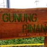 Petualangan Seru di Gunung Pinang: Pendakian dan Downhill
