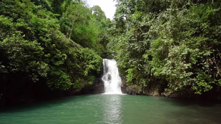 Aling-aling Waterfall: Keindahan Tersembunyi di Bali Utara